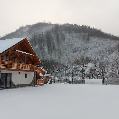 Vişeu de Sus Casa Novaヴィラ エクステリア 写真