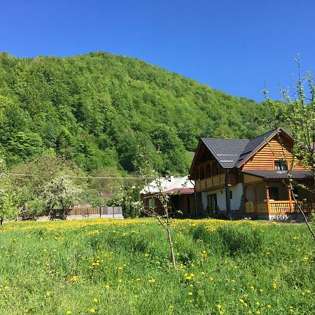 Vişeu de Sus Casa Novaヴィラ エクステリア 写真