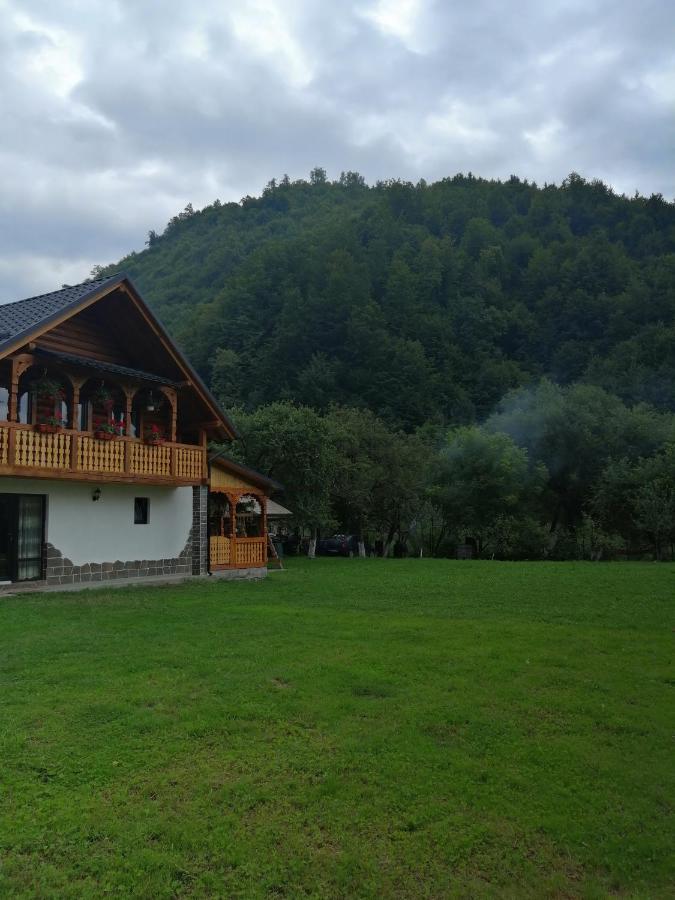 Vişeu de Sus Casa Novaヴィラ エクステリア 写真