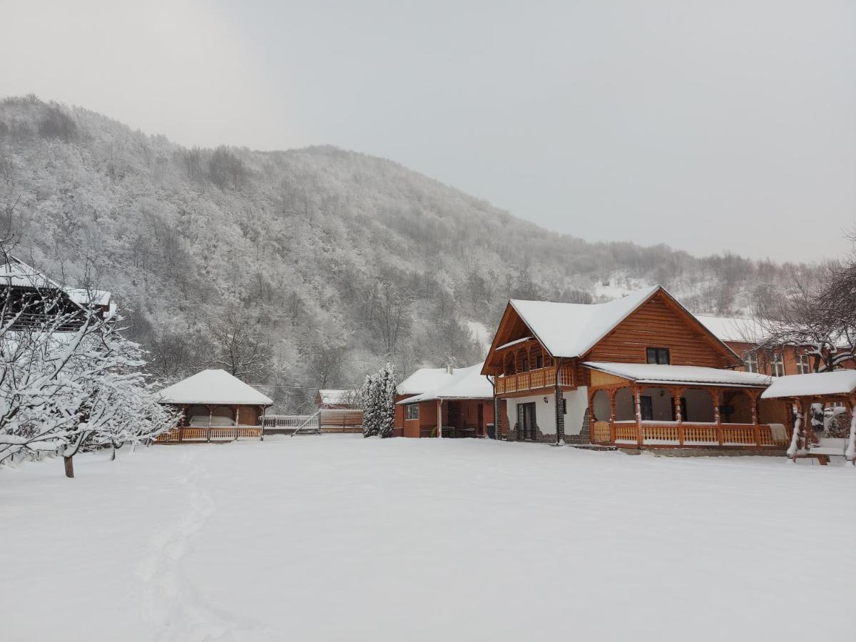 Vişeu de Sus Casa Novaヴィラ エクステリア 写真