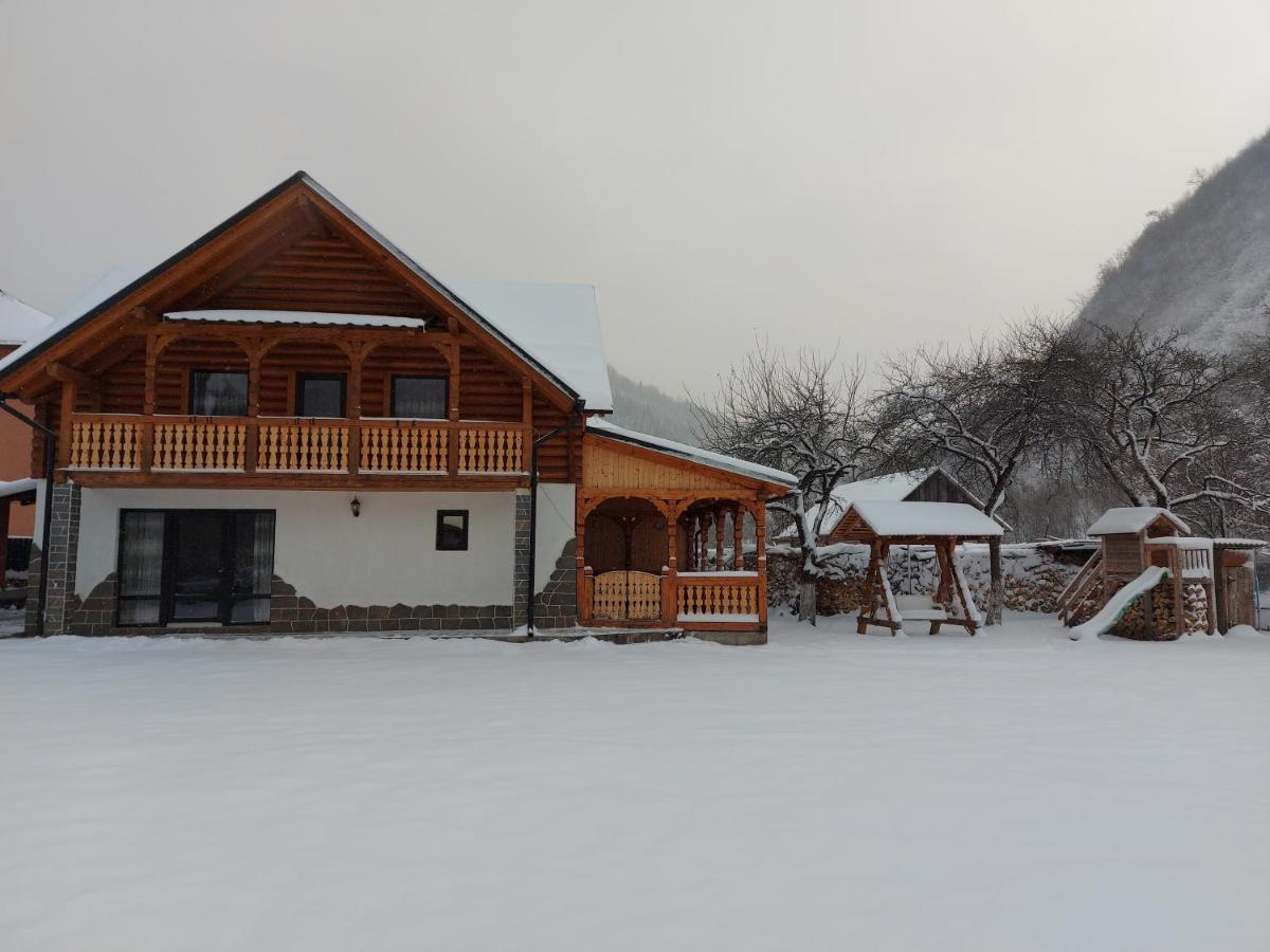 Vişeu de Sus Casa Novaヴィラ エクステリア 写真