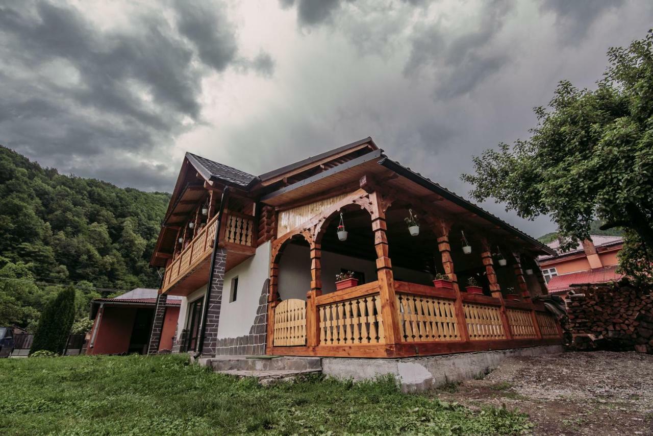 Vişeu de Sus Casa Novaヴィラ エクステリア 写真