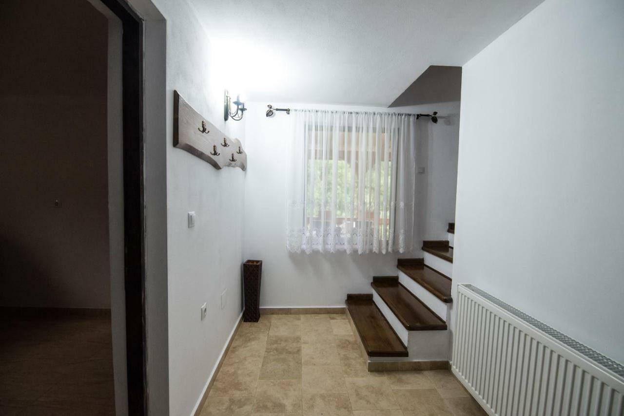 Vişeu de Sus Casa Novaヴィラ エクステリア 写真