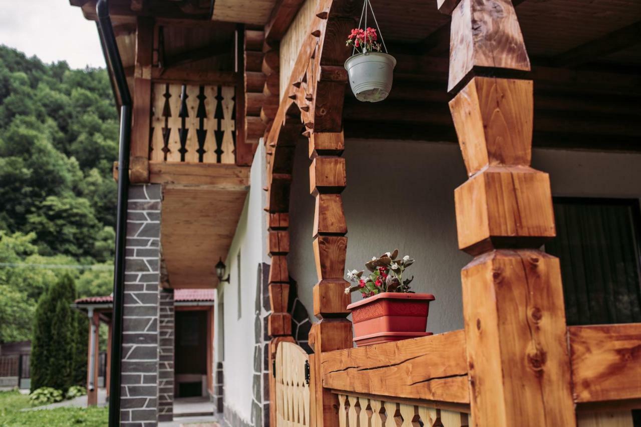 Vişeu de Sus Casa Novaヴィラ エクステリア 写真