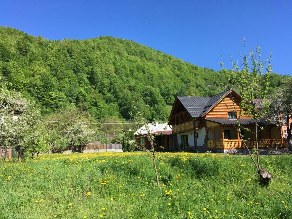 Vişeu de Sus Casa Novaヴィラ エクステリア 写真