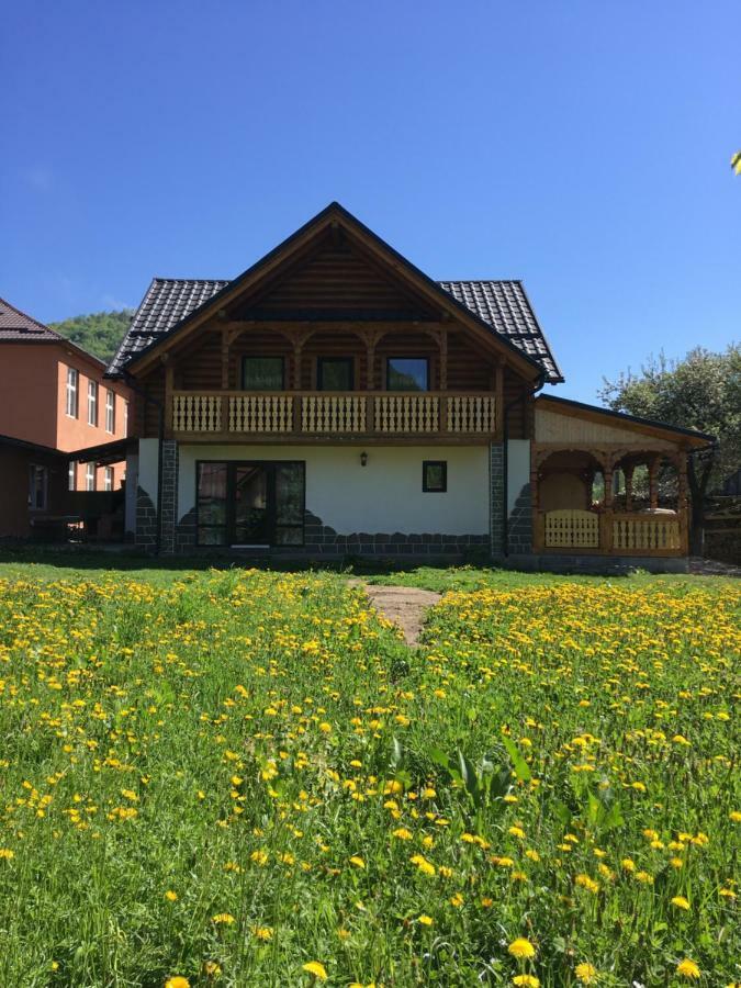 Vişeu de Sus Casa Novaヴィラ エクステリア 写真