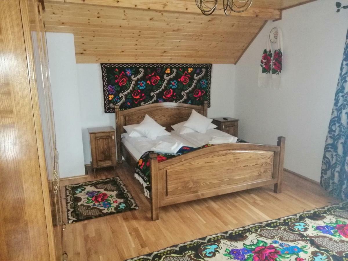 Vişeu de Sus Casa Novaヴィラ エクステリア 写真